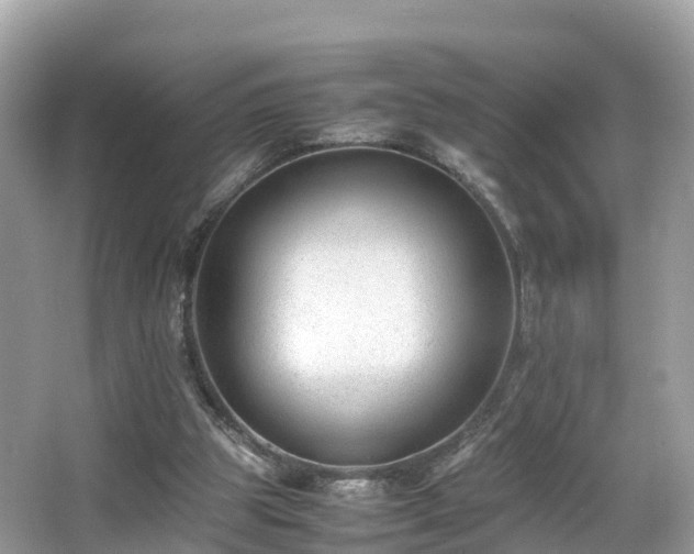 X0000066960153200603271242