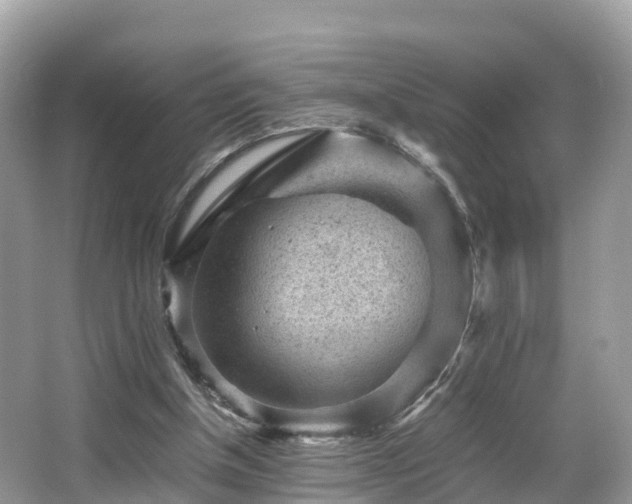 X0000066960154200603271242