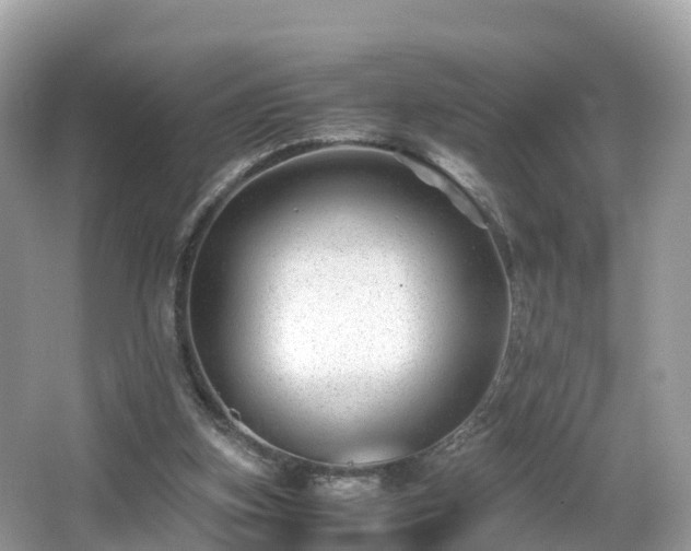 X0000066960155200603271242