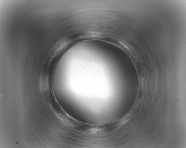 X0000066960158200603271242
