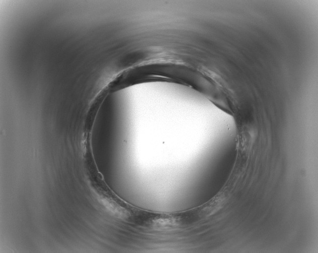 X0000066960160200603271242