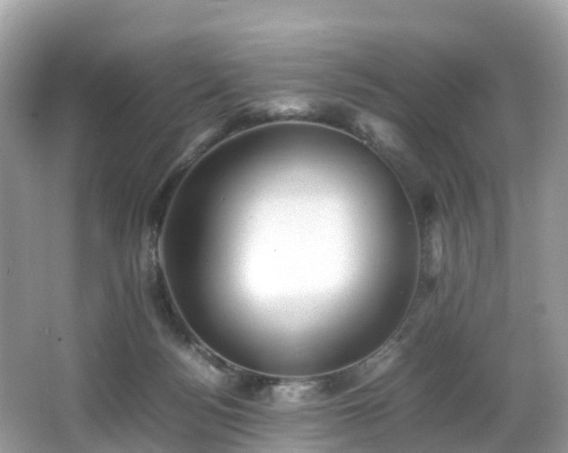 X0000066960172200603271242