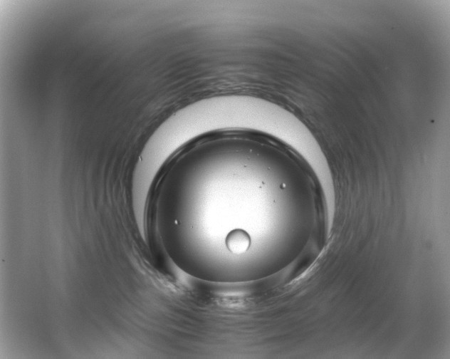 X0000066960187200603271242