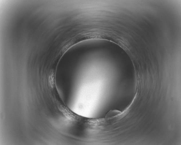 X0000066960190200603271243