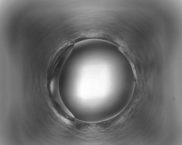 X0000066960201200603271242