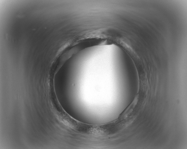 X0000066960207200603271242