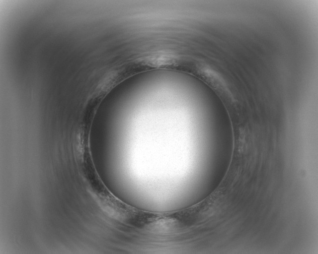 X0000066960210200603271241