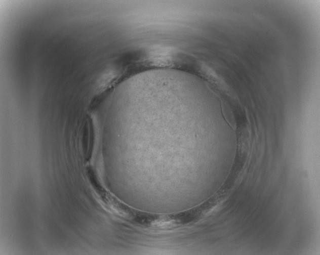 X0000066960213200603271241