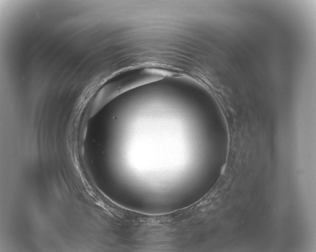 X0000066960241200603271240