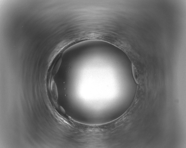 X0000066960242200603271240