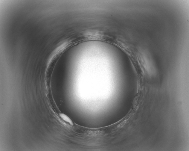 X0000066960245200603271240