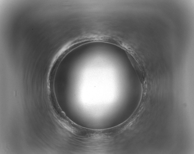X0000066960246200603271240