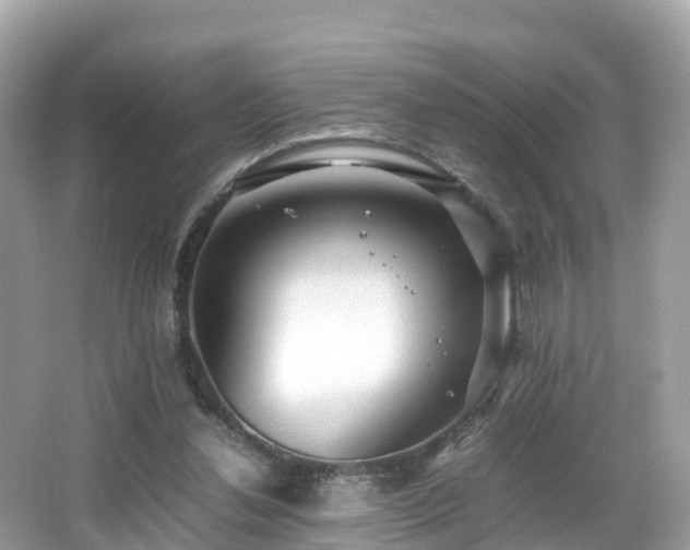 X0000066960252200603271240