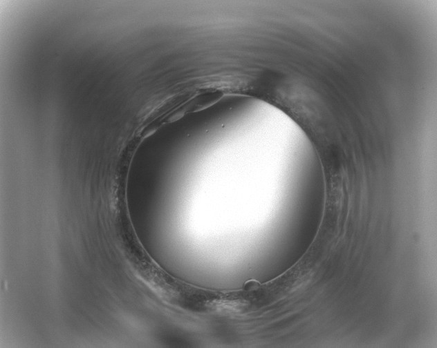 X0000066960255200603271240