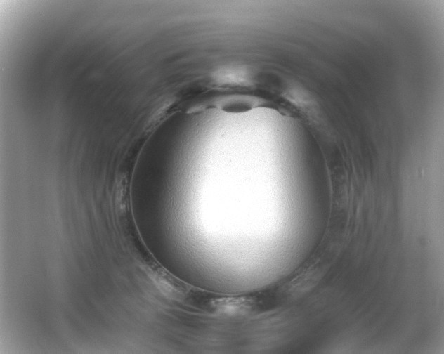 X0000066960273200603271241