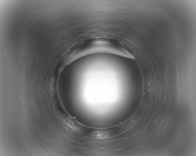 X0000066960275200603271241