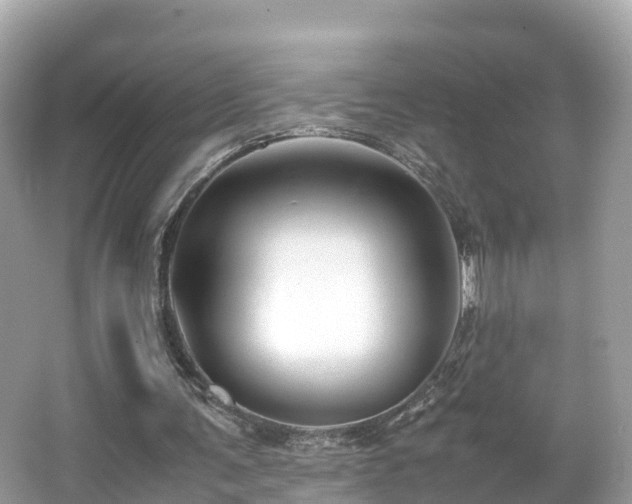 X0000066960291200603271240