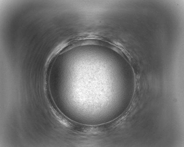 X0000066960293200603271240