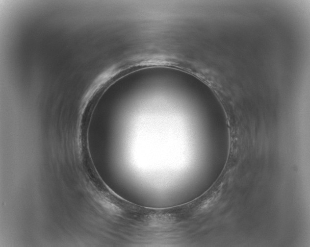 X0000066960296200603271240