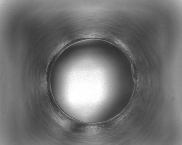 X0000066960298200603271240
