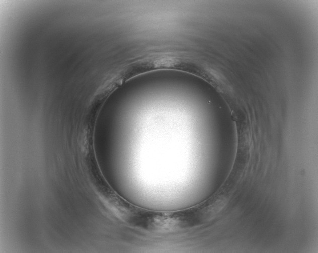 X0000066960311200603271240