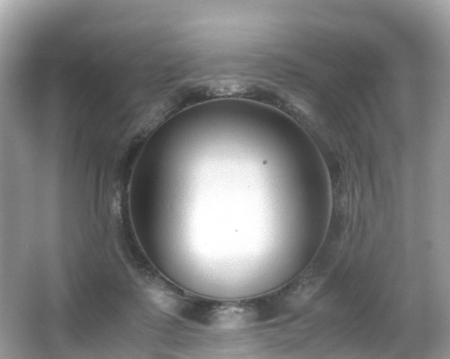 X0000066960315200603271240