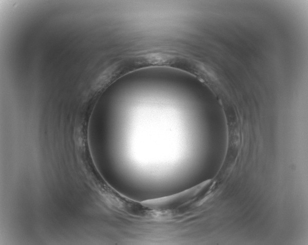 X0000066960317200603271240