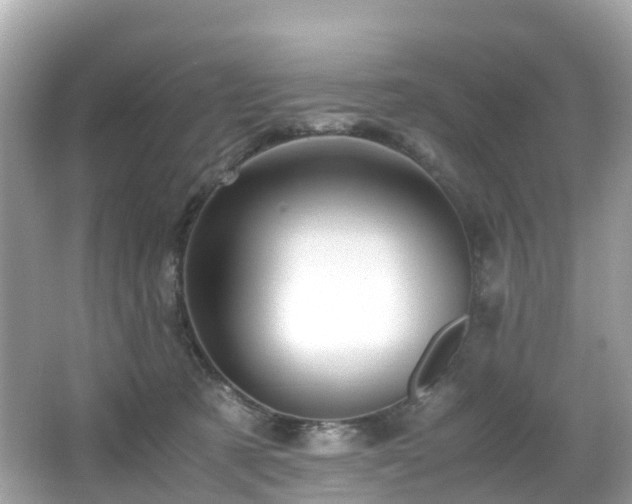 X0000066960321200603271240