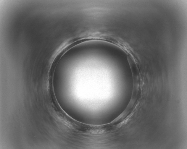 X0000066960344200603271239