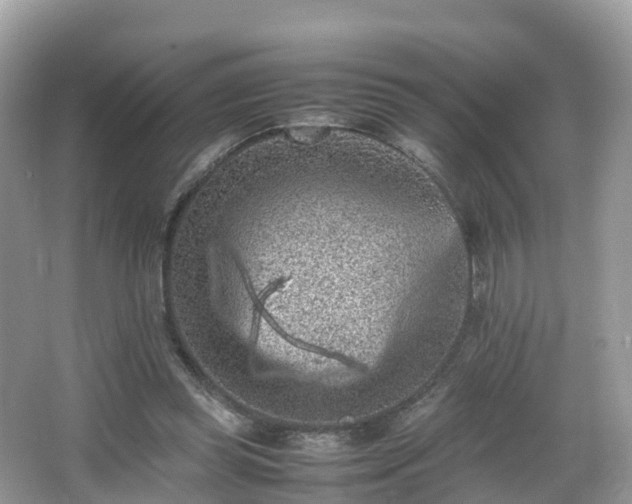 X0000066960349200603271239