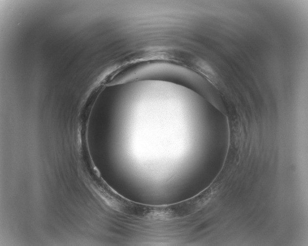 X0000066960350200603271239