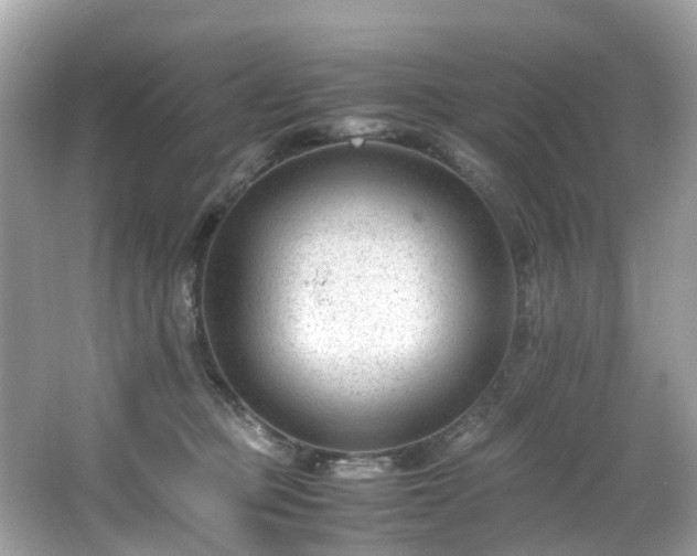 X0000066960373200603271239