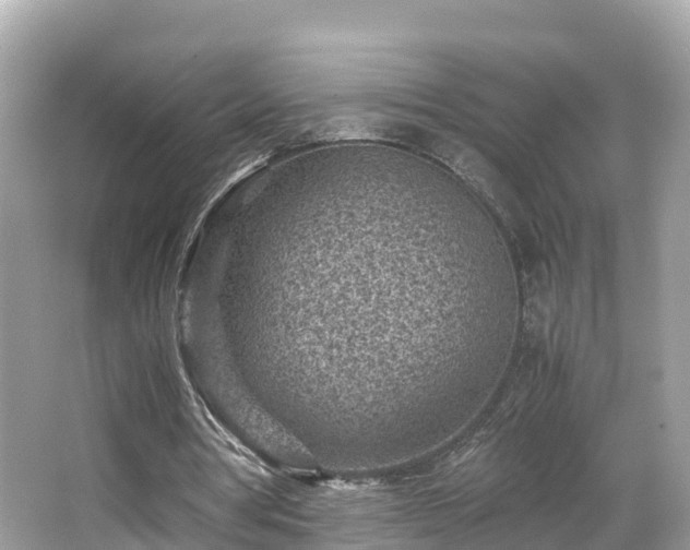 X0000066960386200603271238