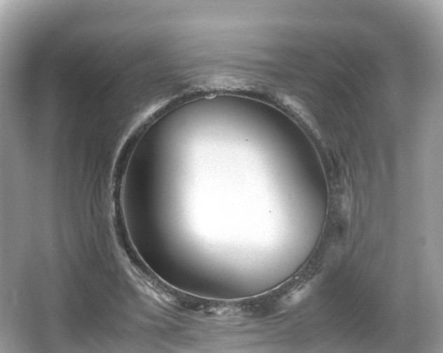 X0000066960395200603271238