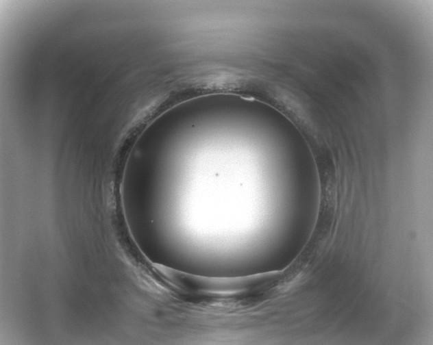 X0000066960403200603271238