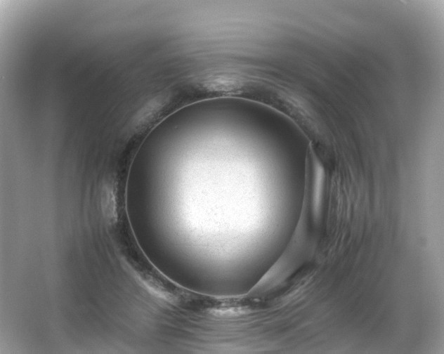 X0000066960404200603271238
