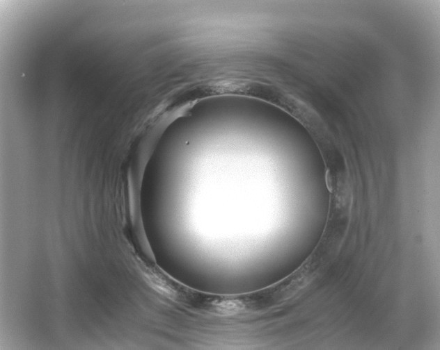 X0000066960409200603271238