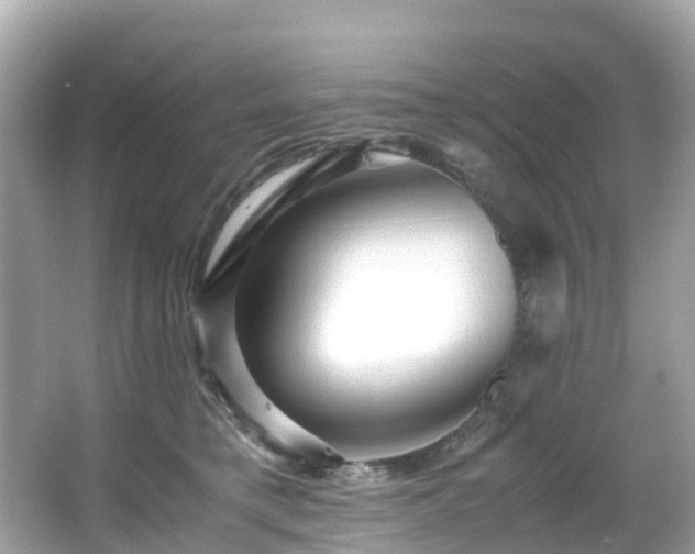 X0000066960421200603271238