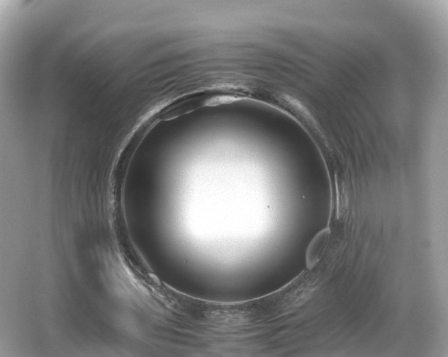X0000066960435200603271237