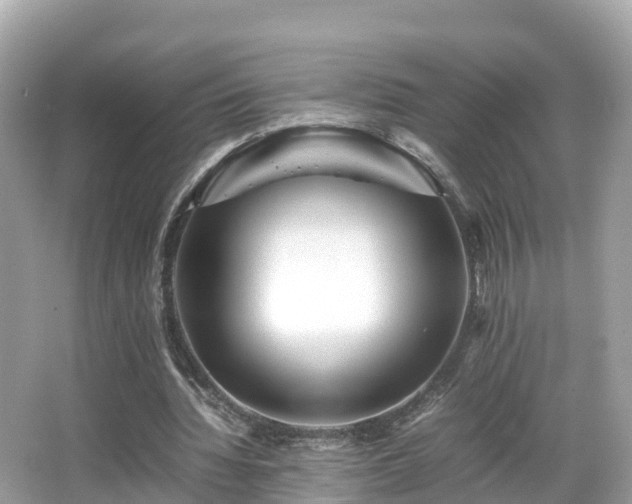 X0000066960436200603271237