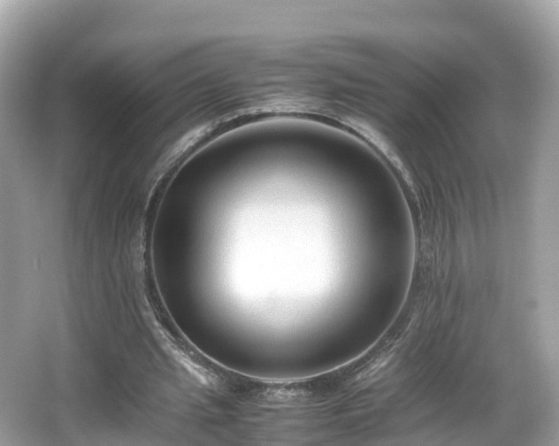 X0000066960437200603271237