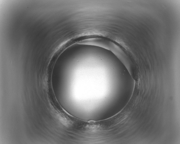X0000066960440200603271237