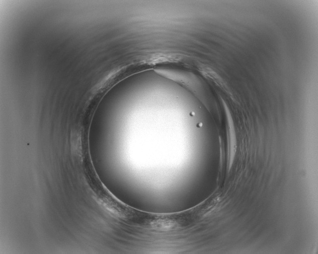 X0000066960444200603271237