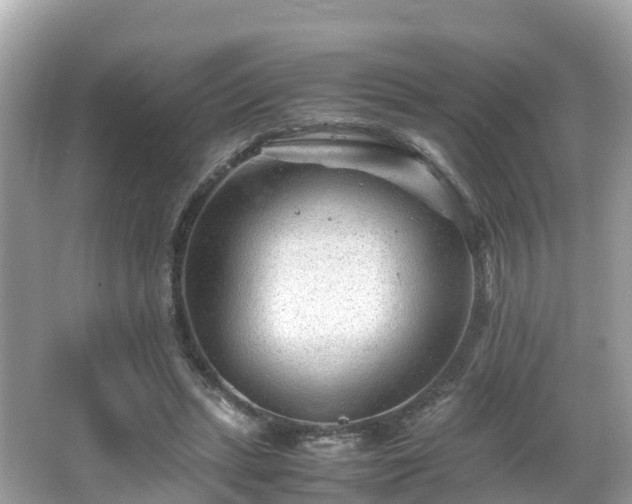 X0000066960447200603271237