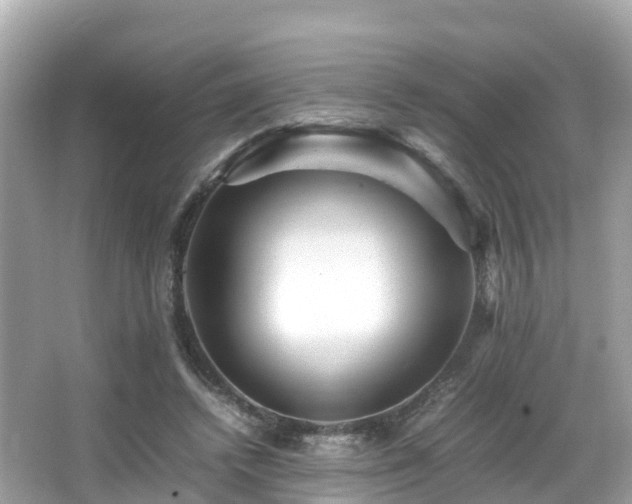 X0000066960448200603271237