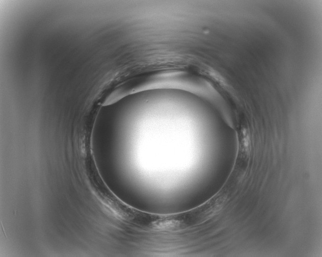 X0000066960452200603271237