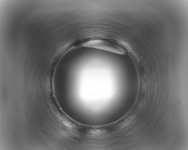 X0000066960453200603271237