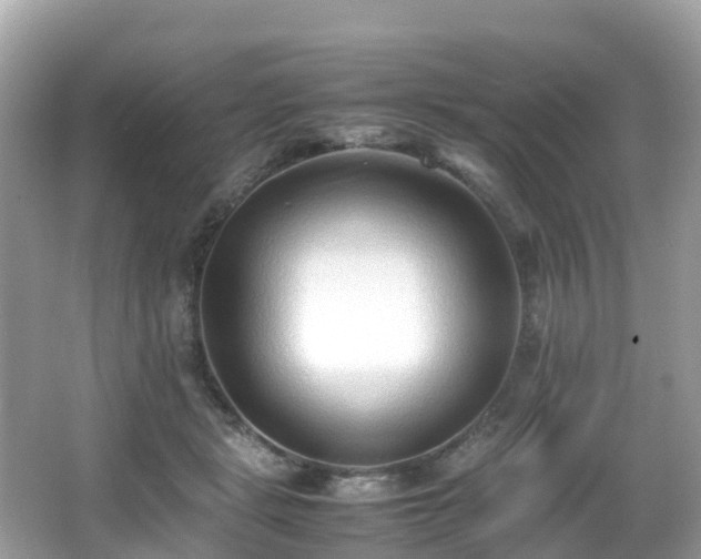 X0000066960461200603271237