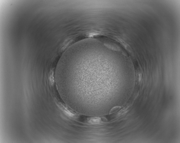X0000066960479200603271238