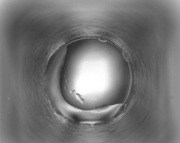 X0000066960481200603271237